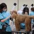 ＹＩＣ京都ペット総合専門学校 ワンちゃんの美容体験1