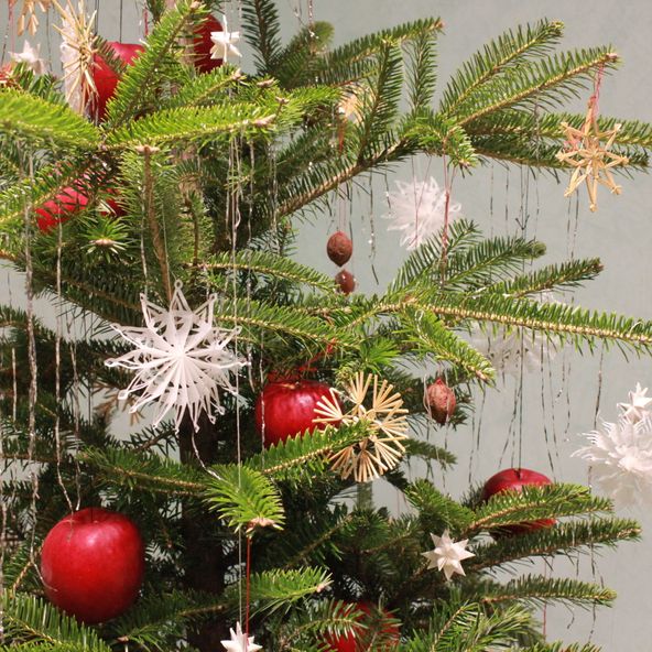 聖隷クリストファー大学 資料請求 願書請求 学校案内 スタディサプリ 進路