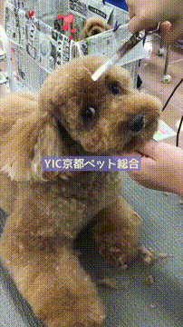 OCカメラサムネイル画像