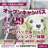 京都動物専門学校 【高校1年生・2年生大歓迎♪】ハーブパック＆シャンプー体験