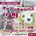 京都動物専門学校 【高校1年生・2年生大歓迎♪】ハーブパック＆シャンプー体験