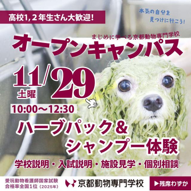 京都動物専門学校 【高校1年生・2年生大歓迎♪】ハーブパック＆シャンプー体験1
