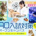 AO入試対策オープンキャンパス／大阪ＥＣＯ動物海洋専門学校