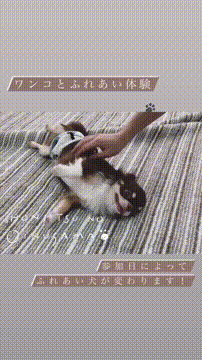 OCカメラサムネイル画像