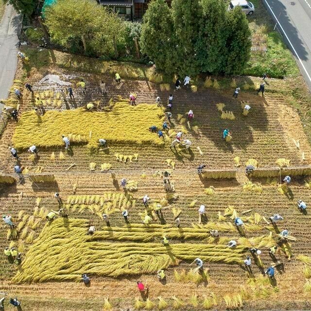 どちらも農業 スマート農業 Vs 農業 その違いとは 新潟農業 バイオ専門学校のオープンキャンパス情報と予約申込 スタディサプリ 進路