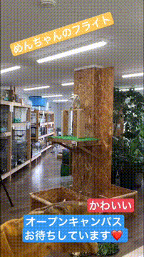 OCカメラサムネイル画像