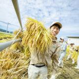 食・農・バイオ・花を仕事にしよう!オープンキャンパス開催!の詳細