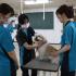 ＹＩＣ京都ペット総合専門学校 ワンちゃんのハミガキをしてみよう！4