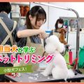 ＴＣＡ東京ＥＣＯ動物海洋専門学校 担当犬と学ぶペットトリミング