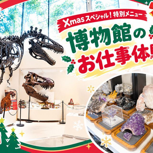 ＴＣＡ東京ＥＣＯ動物海洋専門学校 Xmasスペシャル！特別メニュー博物館のお仕事体験！1