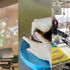 東北生活文化大学 【美術表現学科】6月オープンキャンパス1