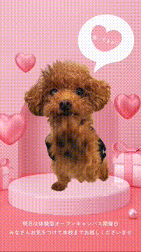 OCカメラサムネイル画像