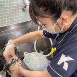 わんちゃんに ハーブパックをしてみよう♪ペットエステ体験の詳細