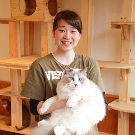 在校生レポート画像