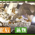 ＴＣＡ東京ＥＣＯ動物海洋専門学校 未知なる化石と鉱物の世界