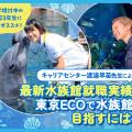 ＴＣＡ東京ＥＣＯ動物海洋専門学校 最新水族館就職実績と東京ECOで水族館を目指すには？