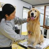 2/23(土)グルーミングコンテストへご招待!の詳細
