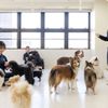 専門学校　福岡ビジョナリーアーツ 【ペット】 犬舎体験