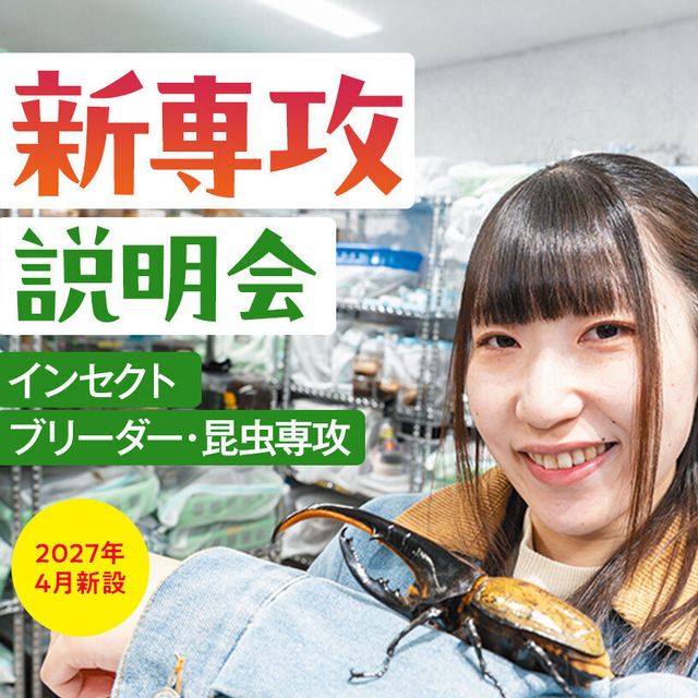大阪ＥＣＯ動物海洋専門学校 新専攻説明会【インセクトブリーダー・昆虫専攻】1