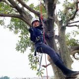 造園実習★庭造り・管理のイロハを体験しようの詳細