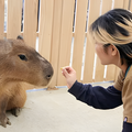 専門学校　福岡ビジョナリーアーツ 【ペット】動物達にエサやり体験