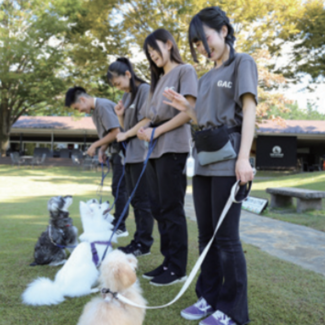 群馬動物専門学校 絆で動く！パートナー犬と学ぶトレーニング体験in名犬牧場1