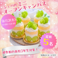 シェフパティシエ専門学校 【高3限定！】ぶどうのショートケーキ♪〈製菓〉【定員5名】