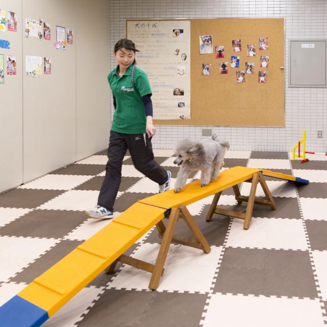 仙台総合ペット専門学校 ペットといっしょにオープンキャンパス!1