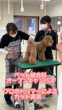 OCカメラサムネイル画像