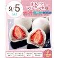 札幌スイーツ＆カフェ専門学校 【交通費支給】まるごとフルーツ大福