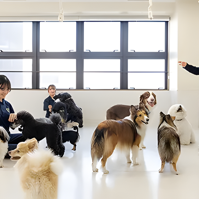 専門学校　福岡ビジョナリーアーツ 【ペット】犬舎体験1