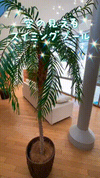 OCカメラサムネイル画像