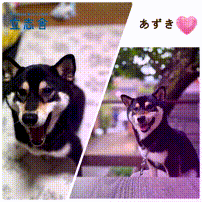 OCカメラサムネイル画像