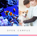 中央動物総合専門学校 未来の動物のプロフェッショナルへ！オープンキャンパス