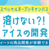 溶けない！アイスの開発にチャレンジ(食品開発)の詳細