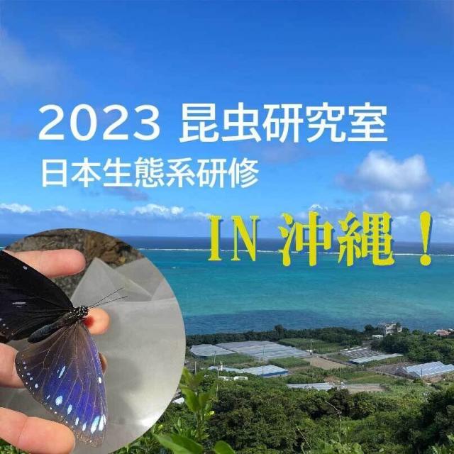 日本自然環境専門学校 【すぐ見れる動画】昆虫好きのあなたへ！学生制作の昆虫実習動画2