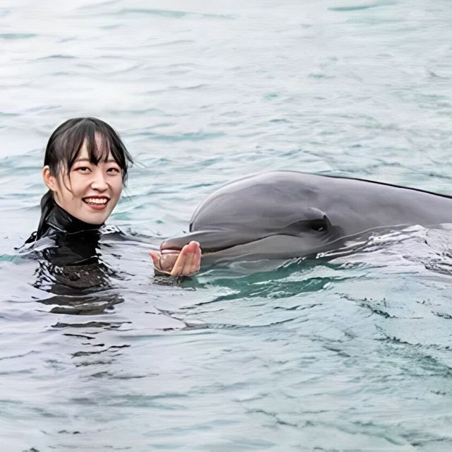 専門学校　福岡ビジョナリーアーツ 【ペット】イルカのトレーニングについて学ぼう！1