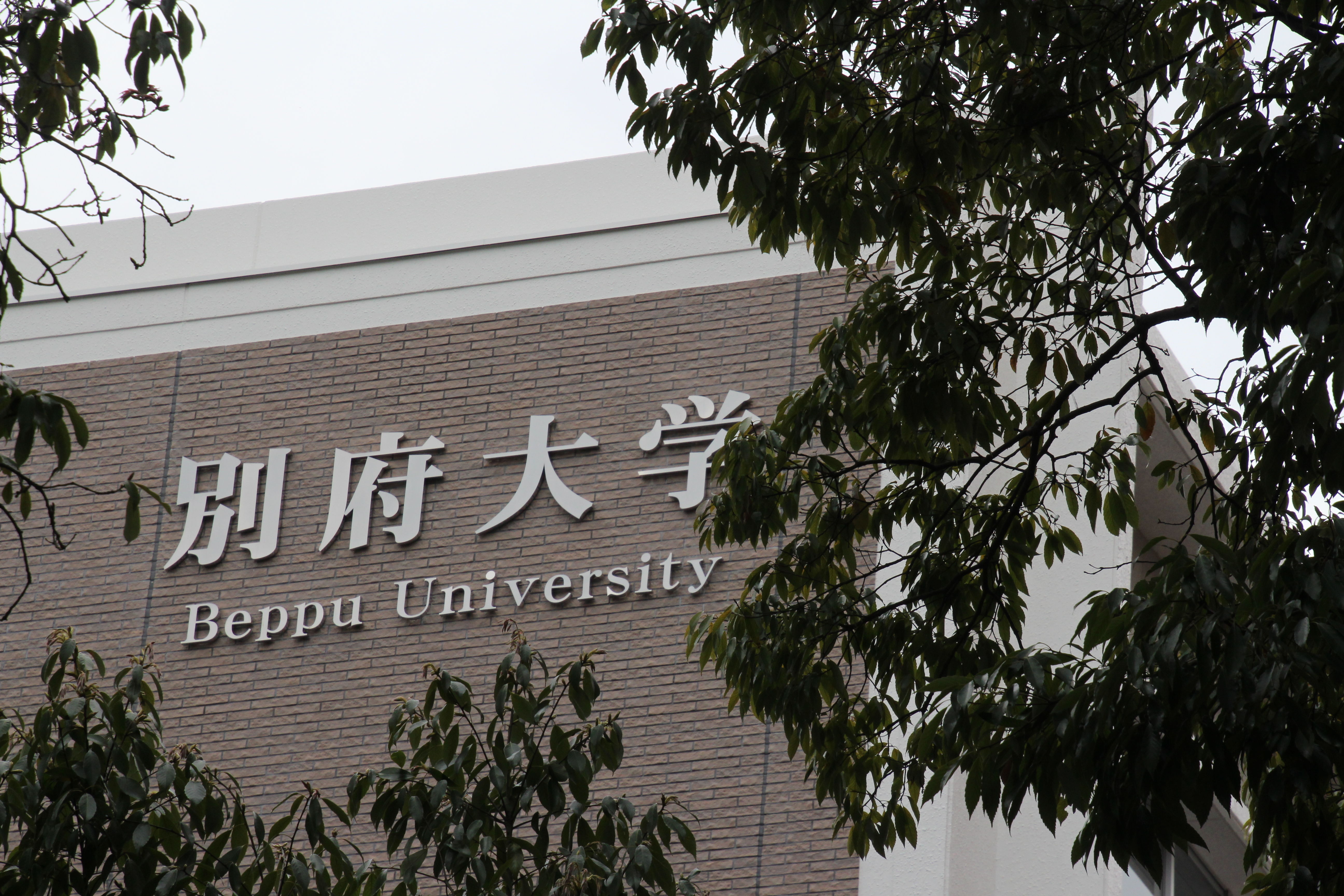 別府 大学 偏差 値