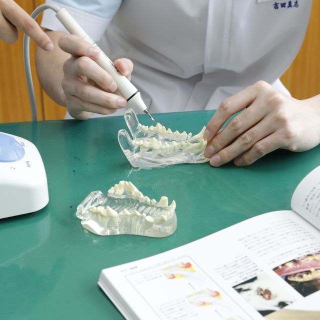 ＫＢＣペットワールド専門学校 「スキ」を仕事にしよう！オープンキャンパス4