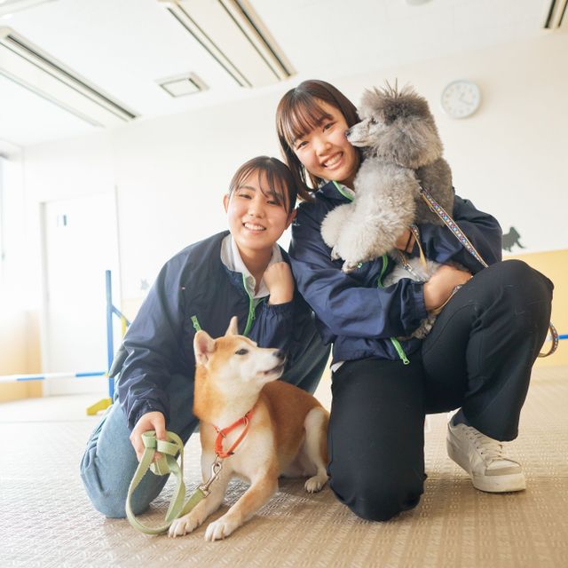国際ペットワールド専門学校 動物と一緒に飼育スタッフ体験しよう！4