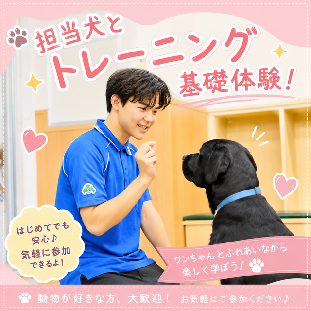 国際動物専門学校 学校説明会（選んだ学科を体験できる日）ドッグスペシャリスト科1