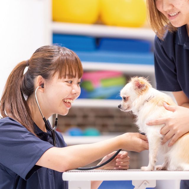 専門学校　福岡ビジョナリーアーツ 【ペット】動物たちの健康チェック1