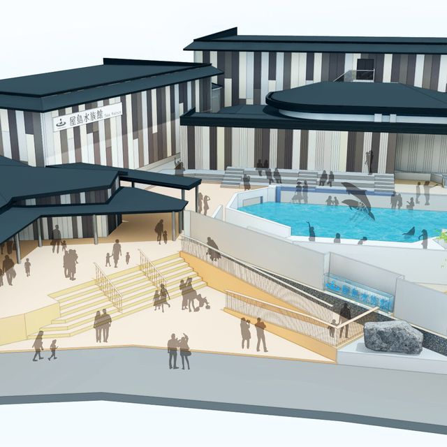 せとうち観光専門職短期大学 【山キャンin屋島】屋島水族館の裏側を見学！2