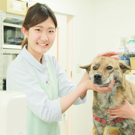 卒業後のキャリア画像