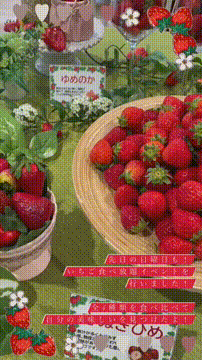 OCカメラサムネイル画像