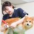 国際ペット総合専門学校 かわいい動物たちをキレイにお手入れ。グルーミング実習に挑戦1