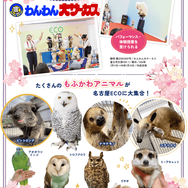 名古屋ＥＣＯ動物海洋専門学校 【高校１・２年生限定】春の1DAYフェスタ！2
