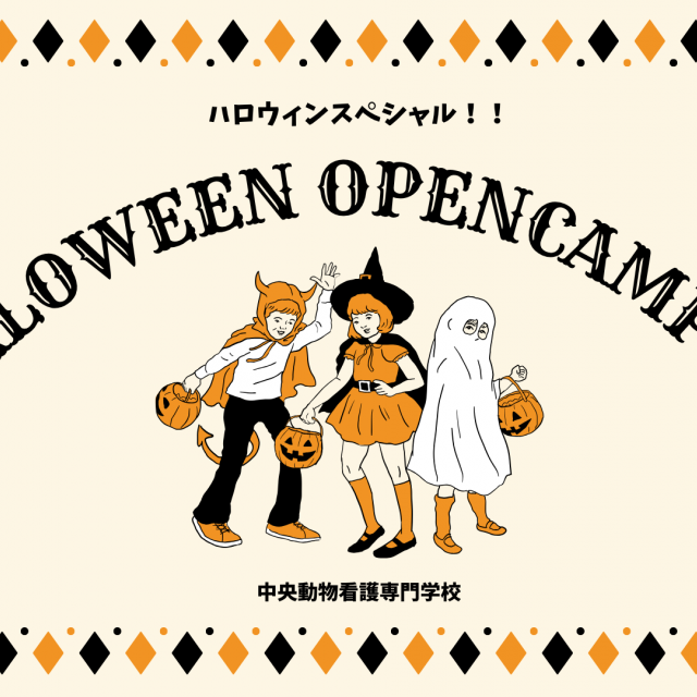 中央動物看護専門学校 [１０月１８日]ハロウィンスペシャルオープンキャンパス★1
