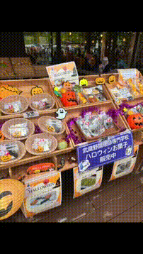 OCカメラサムネイル画像