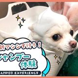 最新マシンで行う！シャンプー体験の詳細